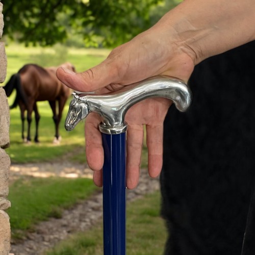 Liberty walking stick