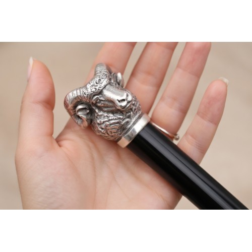 Liberty walking stick