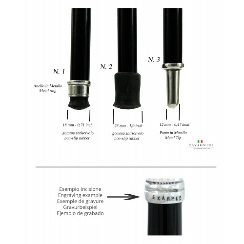 bastone passeggio cane setter