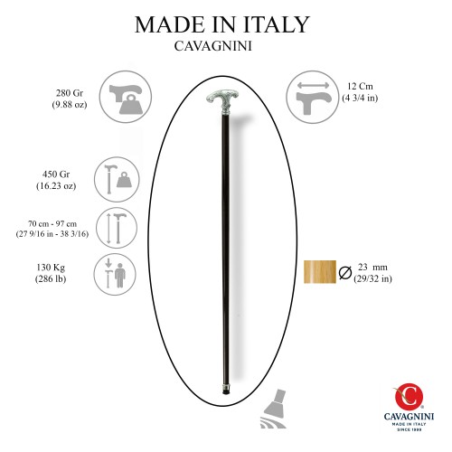 walking stick dog setter