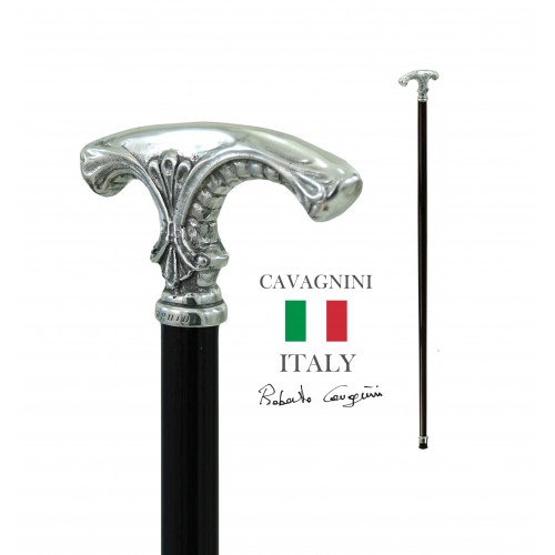 bastone passeggio cane setter