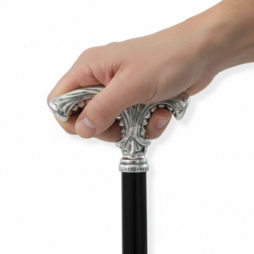 walking stick dog setter